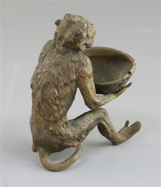 A late 19th century Franz Bergman cold painted bronze model of a monkey holding a walnut shell, 5in.